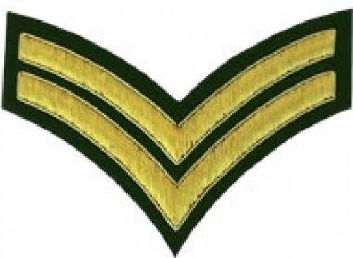 2-Stripe-Chevrons-Badge-Gold-Bullion-on-Green