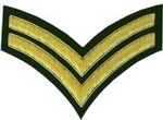 2-Stripe-Chevrons-Badge-Gold-Bullion-on-Green